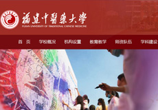 网站群